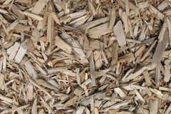 biomass boilers Alfold